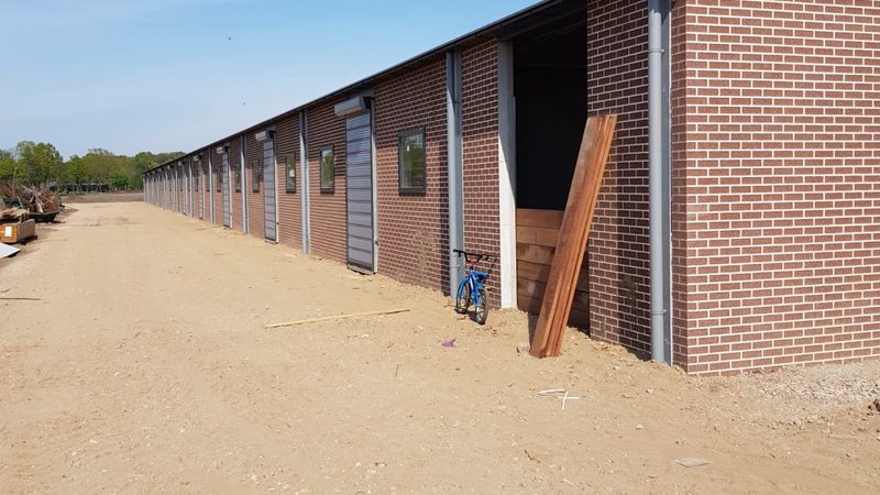成都直播电商基地：揭秘基地对比与选型策略